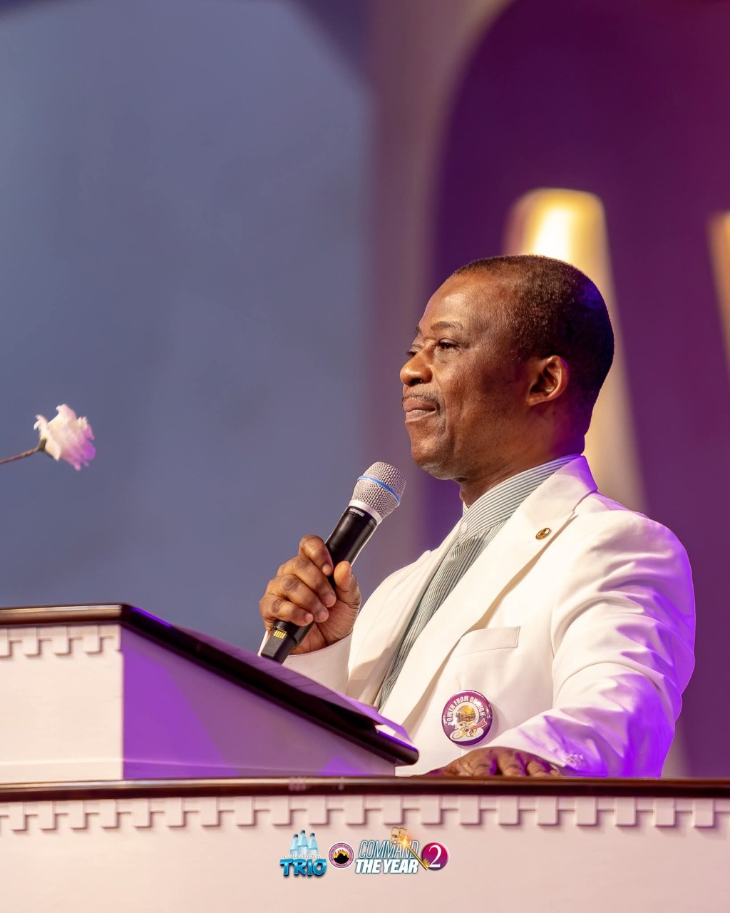 STRATEGIES TO COMMAND THE YEAR&nbsp;(2)