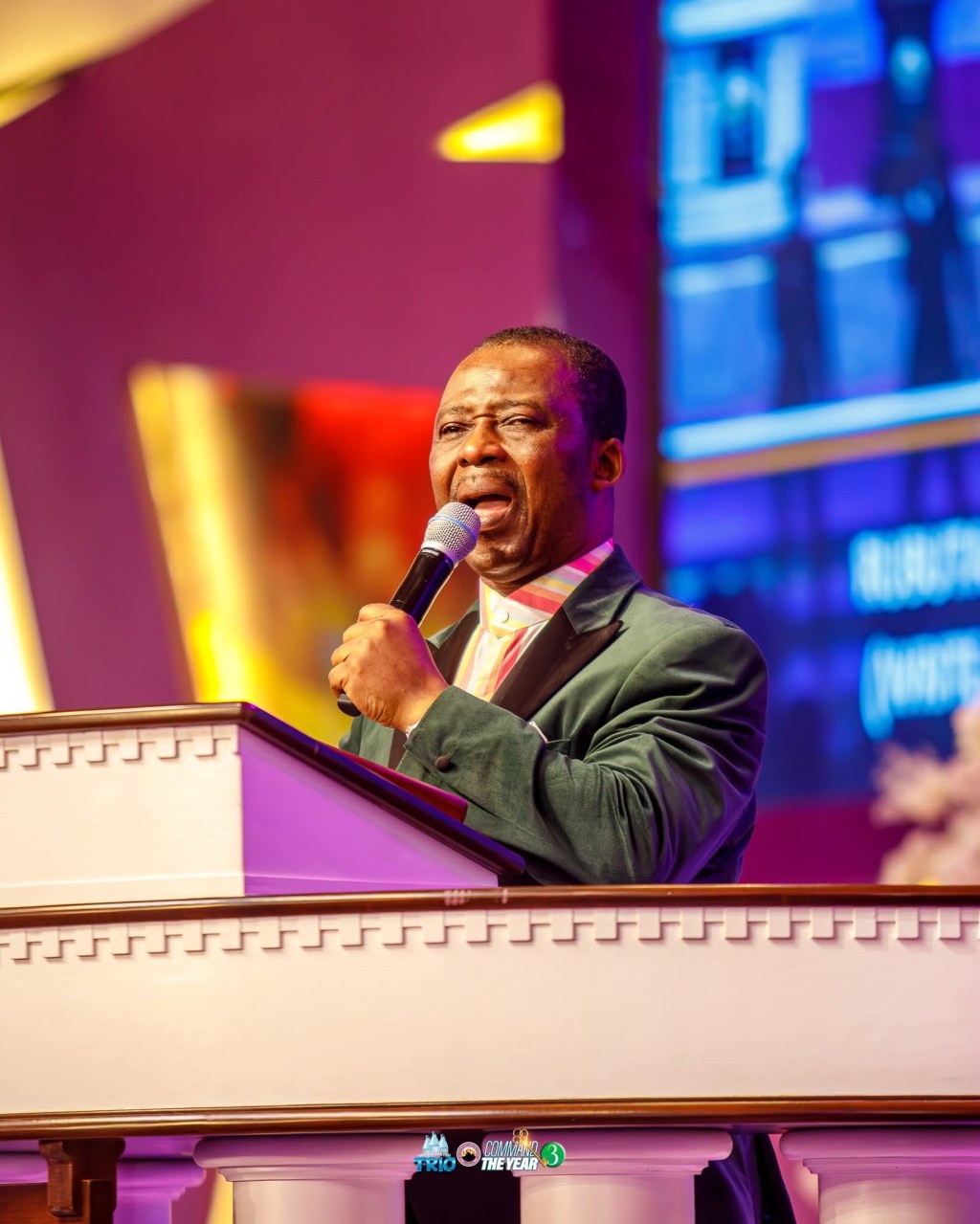 STRATEGIES TO COMMAND THE YEAR&nbsp;(3)